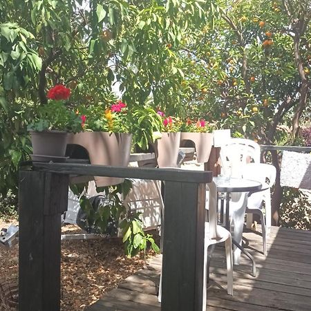 A Fun Holiday In The Galilee Sede Eli'ezer エクステリア 写真