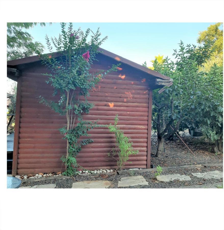 A Fun Holiday In The Galilee Sede Eli'ezer エクステリア 写真